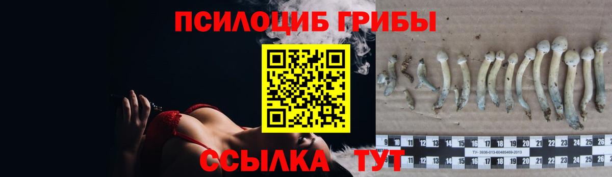 Галлюциногенные грибы прущие грибы Ноябрьск